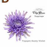 CHRYSANTHEMUM G TOPSPIN DUSTY VİOLET 75CM / 10 ADET