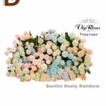 CHRYSANTHEMUM S DUSTY RAINBOW 55CM / BALYA