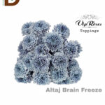 CHRYSANTHEMUM T ALTAJ BRAIN FREEZE / 1 DEMET