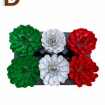 ECHEVERİA RAİNBOW MİX - 1 ADET