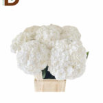HYDRANGEA M ROYAL HIGHNES 80CM Q22 / BEYAZ ORTANCA / 5 ADET