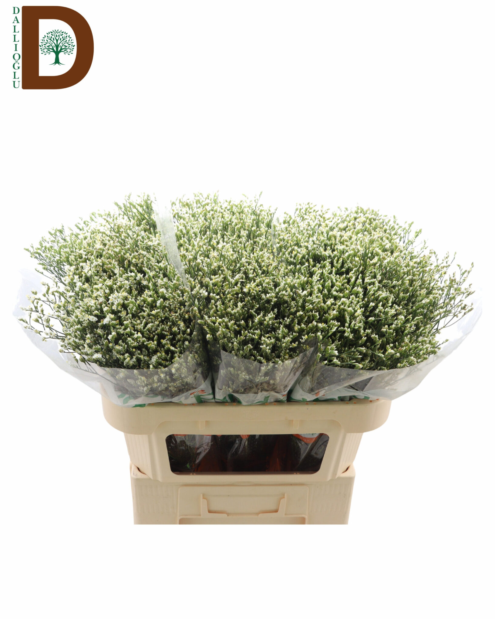 LIMONIUM SIN SEN P COLADA 70CM 40GR LIMONIUM SIN CLEAR DIAMOND 70CM 35GR / 1 BALYA - 25 ADET - Görsel 1