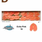 ANTHURIUM A EVITA PINK / 16 ADET