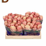 ROSA GR GRAVITY 50CM 23STD / 10 ADET