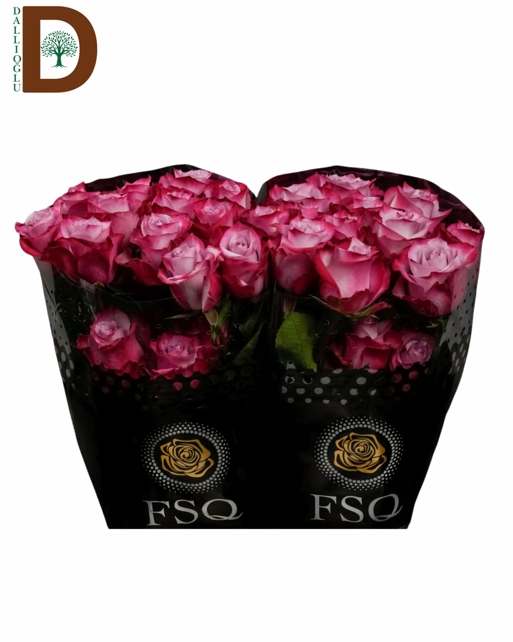 ROSA GR DEEP PURPLE 70CM 23STD ROSA GR DEEP PURPLE 60CM 23STD / 1 DEMET - 25 ADET - Görsel 1