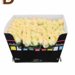 ROSA GR MAGIC AVALANCHE 50CM 23STD / 10 ADET
