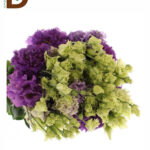 YERLİ LİSİANTHUS MOR / 1 DEMET