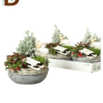ARRANGEMENT GARDEN PLANT 18Ø 25CM / ARAJMAN / 1 ADET