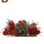 BANKSIA SPECIOSA ORANGE 50CM / 1 ADET