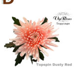 CHRYSANTHEMUM G TOPSIN DUSTY RED 70CM / 1 DEMET - 10 ADET