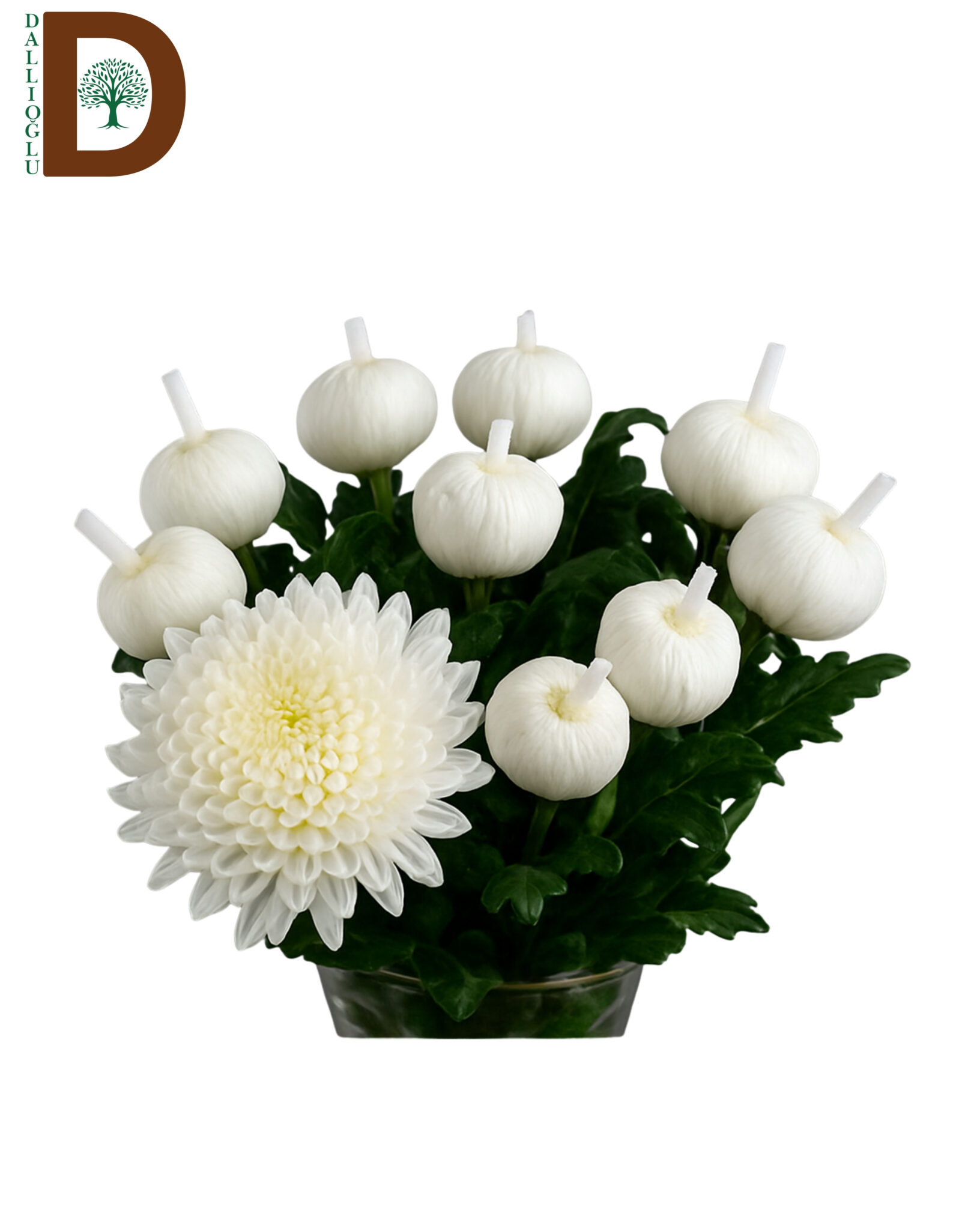 CHRYSANTHEMUM G TUTU 70CM 100GR CHRYSANTHEMUM G TUTU 70CM 100GR / 1 DEMET - 10 ADET - Görsel 1