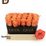 ROSA GR KAHALA - 80 CM / 23 STD/ 1 DEMET - 10 ADET