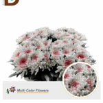 CHR T TOPSIN MARSHMALLOW 70CM / 1 DEMET - 10 DAL