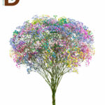 GYPSOPHILA XLENCE RAINBOW MIX 80cm 30gram / MİX CİPSO / 1 BALYA