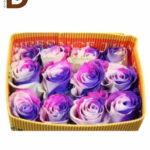 ROSA GR PAINT MIX 70CM 23STD / EKVATOR GÜL / 1 KUTU - 25 ADET