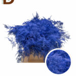 ASPARAGUS 1ST BLUE 45cm / 1 BALYA - 25 ADET