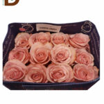 ROSA GR PEARL GOLD TINT 60cm / 1 KUTU - 25 ADET / İTHAL EKVATOR GÜL
