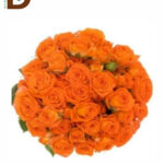 ROSA TR ORANG DIMENSION 40cm 23std / 1 DEMET - 10 ADET