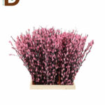 SALIX SNOWFLAKE PINK / 1 DEMET - 50 ADET